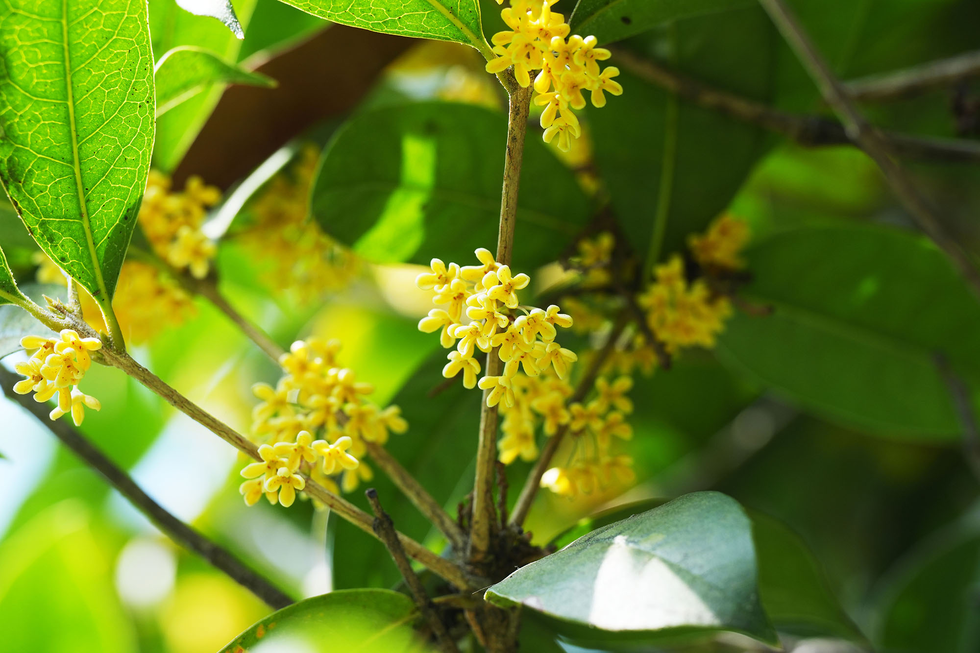 9001cc��ɳ�Գ�Ϊ��(�й�����)���޹�˾����