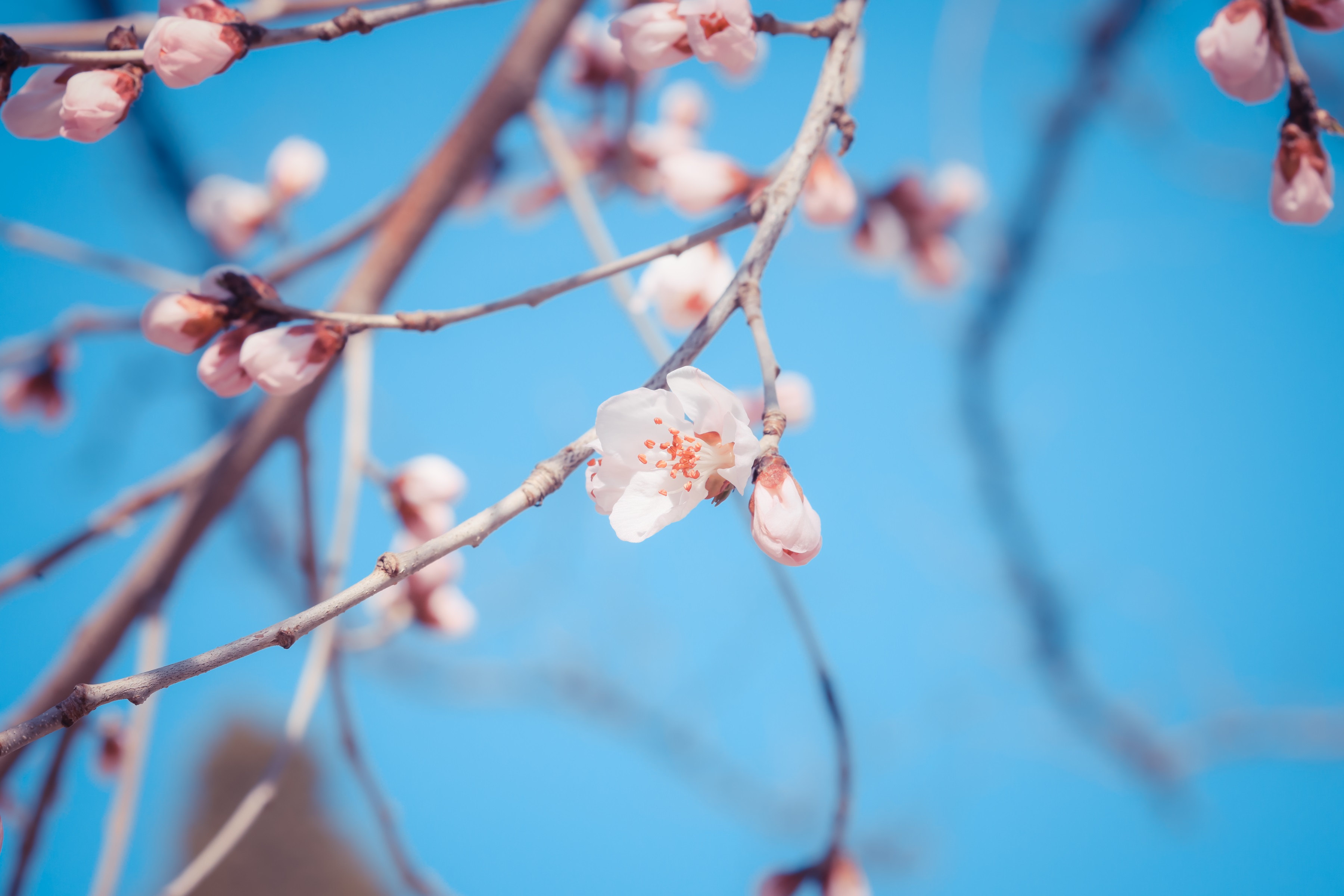 9001cc��ɳ�Գ�Ϊ��(�й�����)���޹�˾����